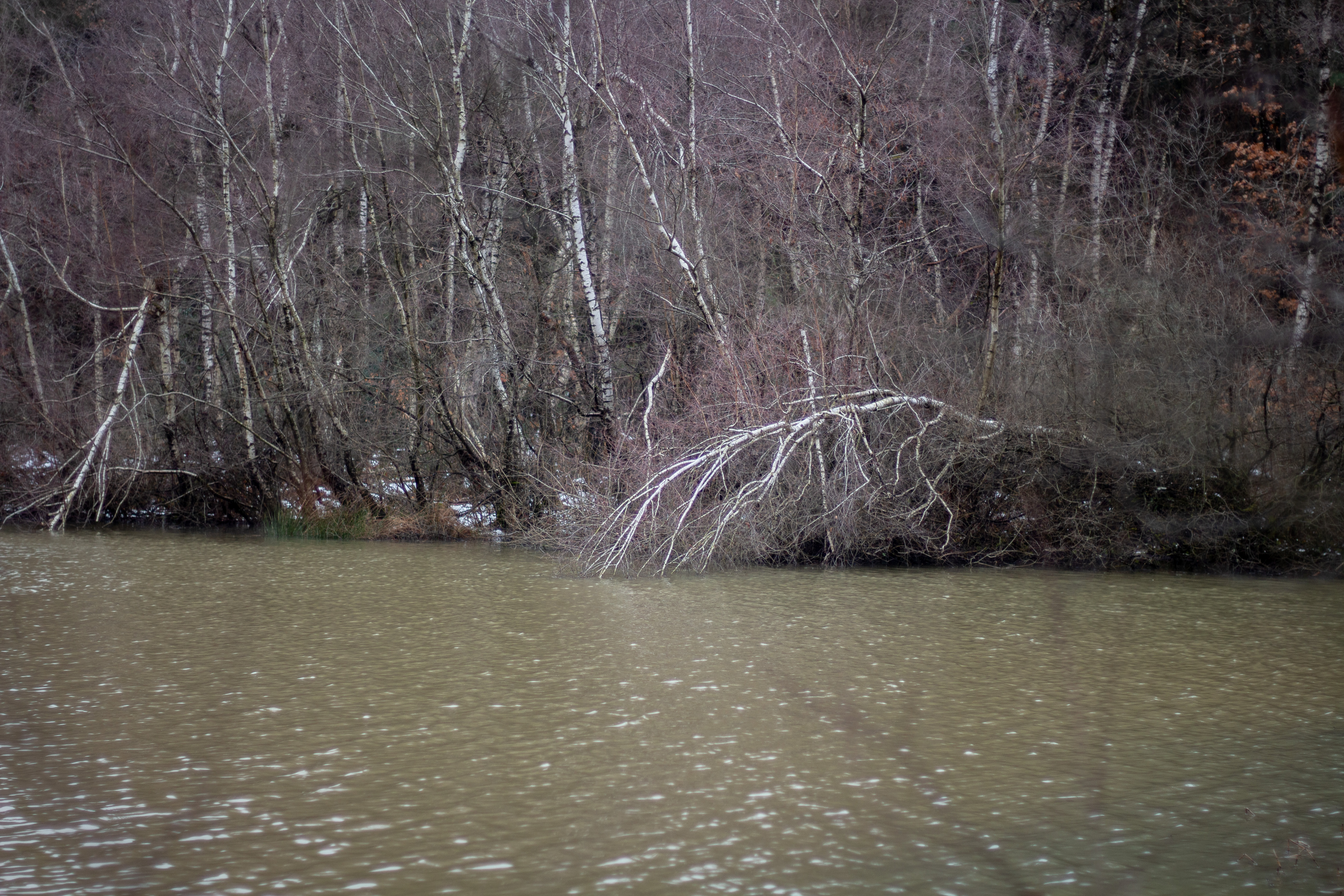 Pêche du brochet en Isère