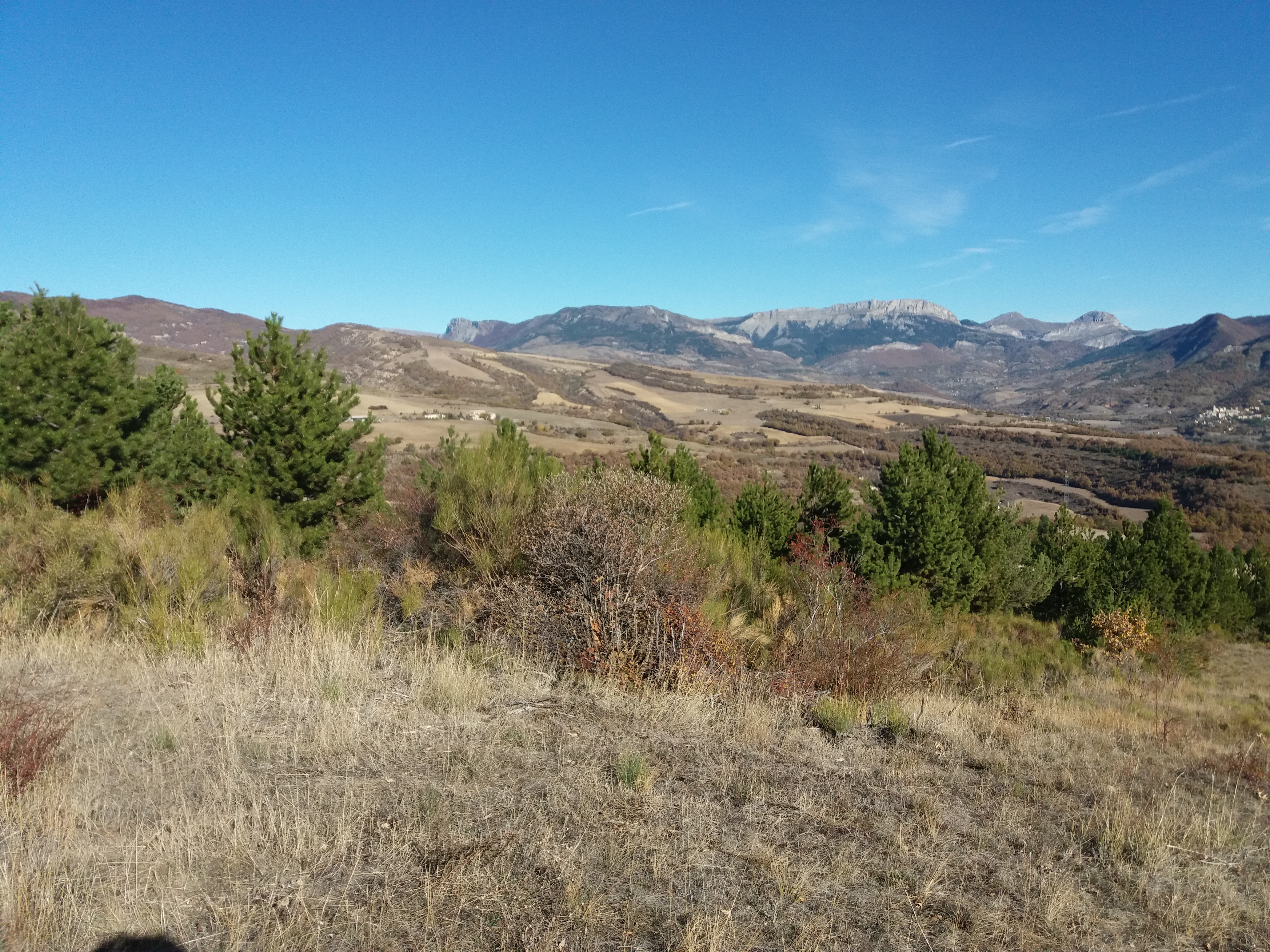 Offre duo : Séjour de chasse au chien d'arrêt dans les Alpes de Haute-Provence