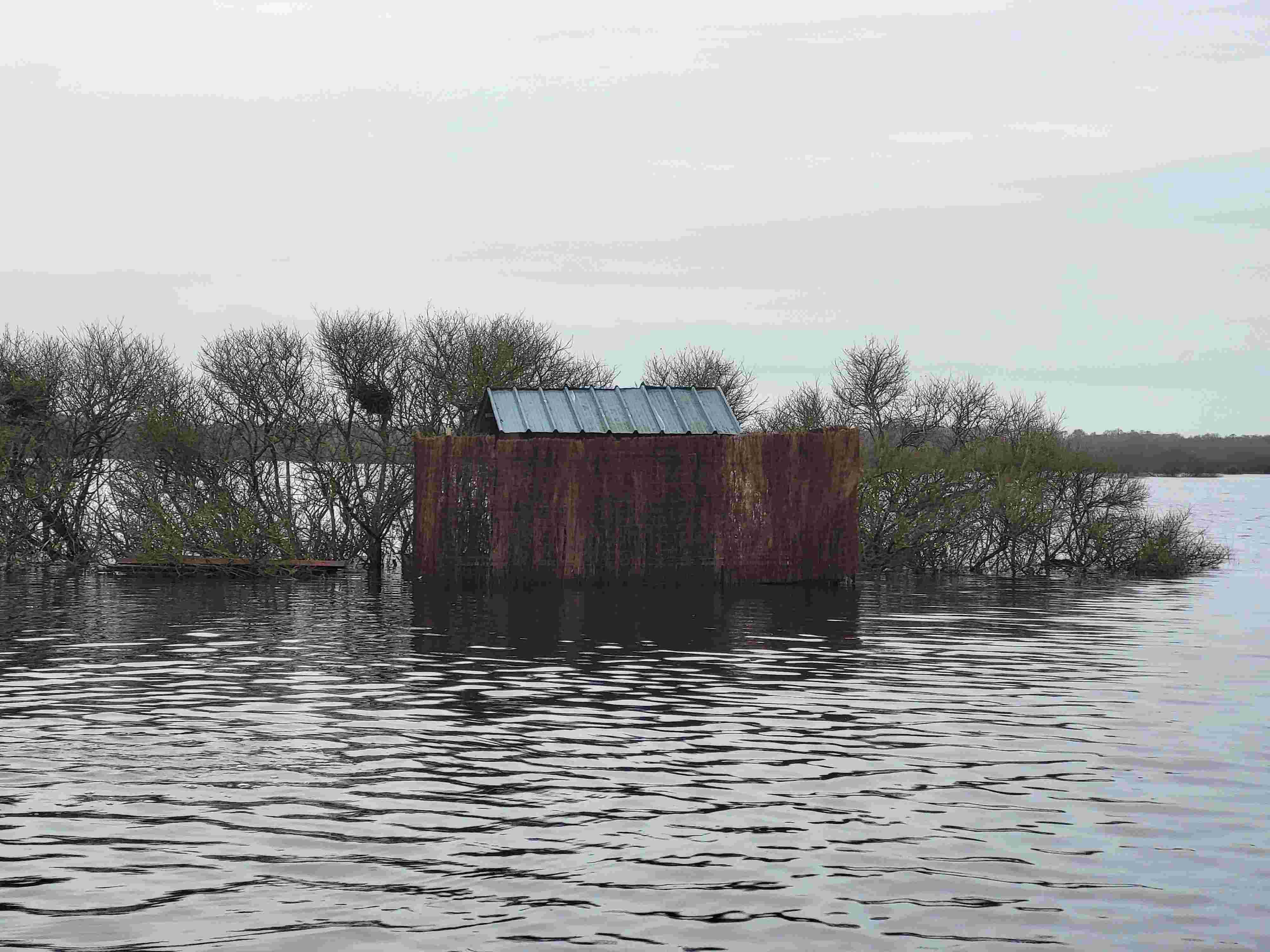 Chasse au gibier d'eau sur le lac de Grand Lieu