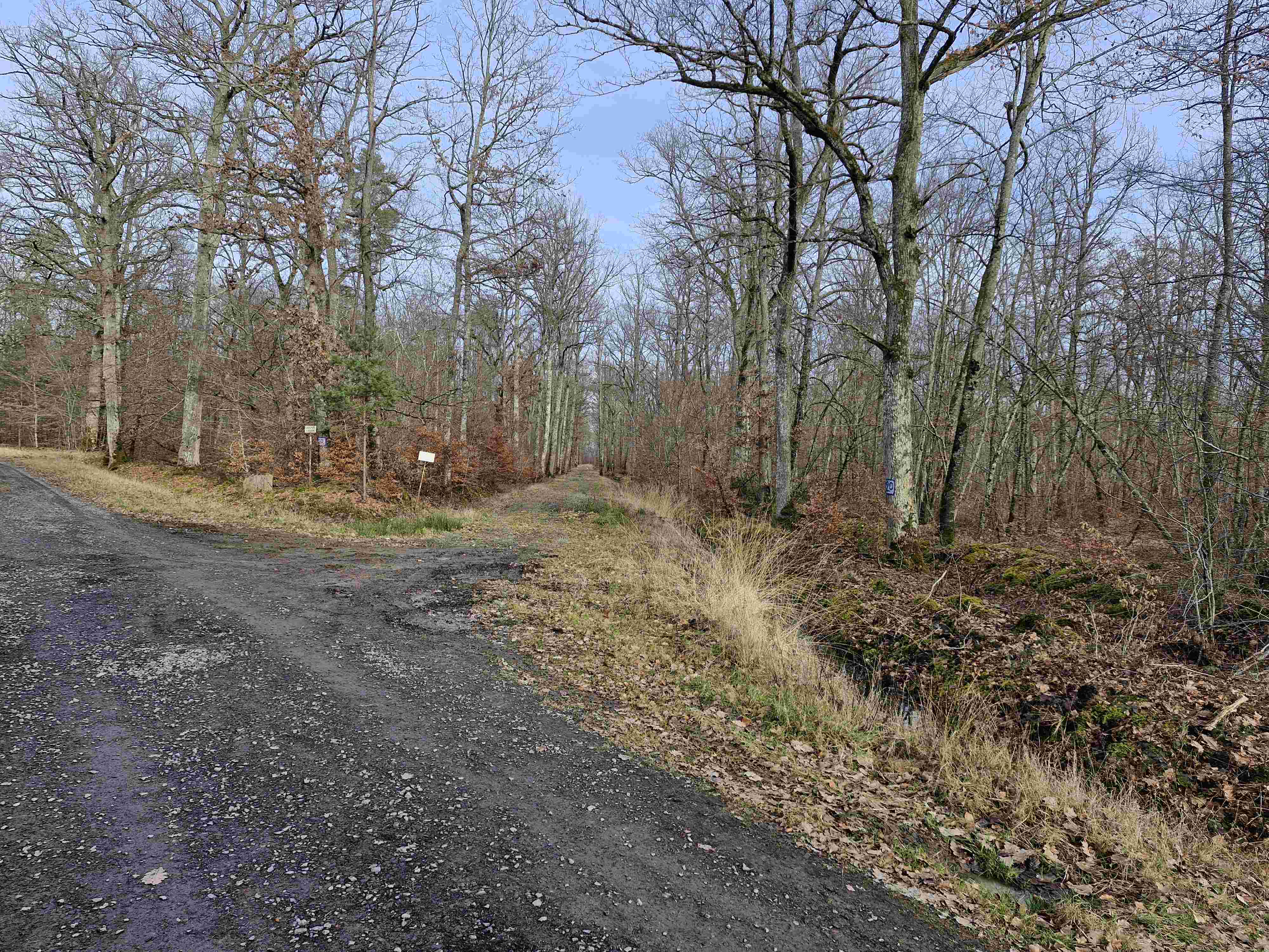 Journée de chasse en battue dans l'Allier