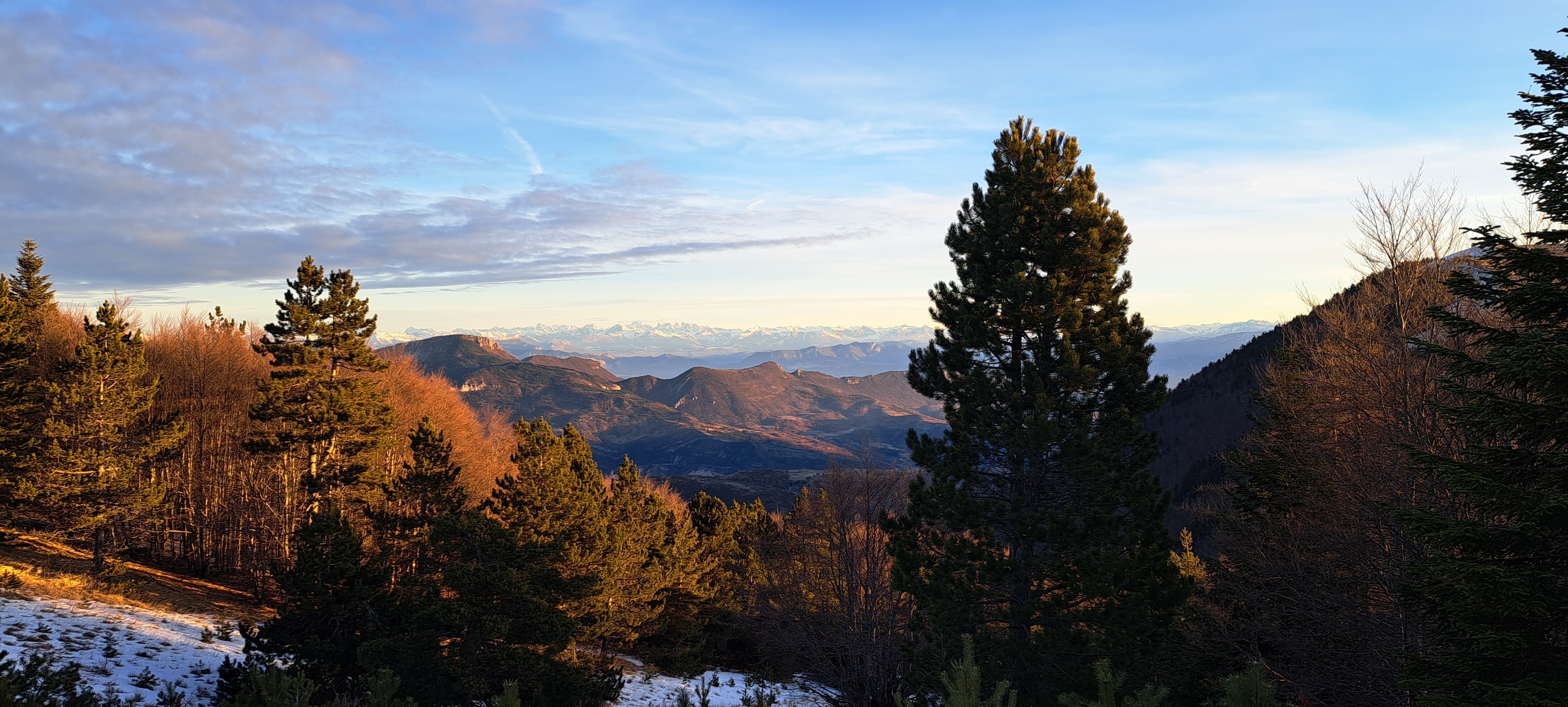 Chasse grand gibier massif de Lure