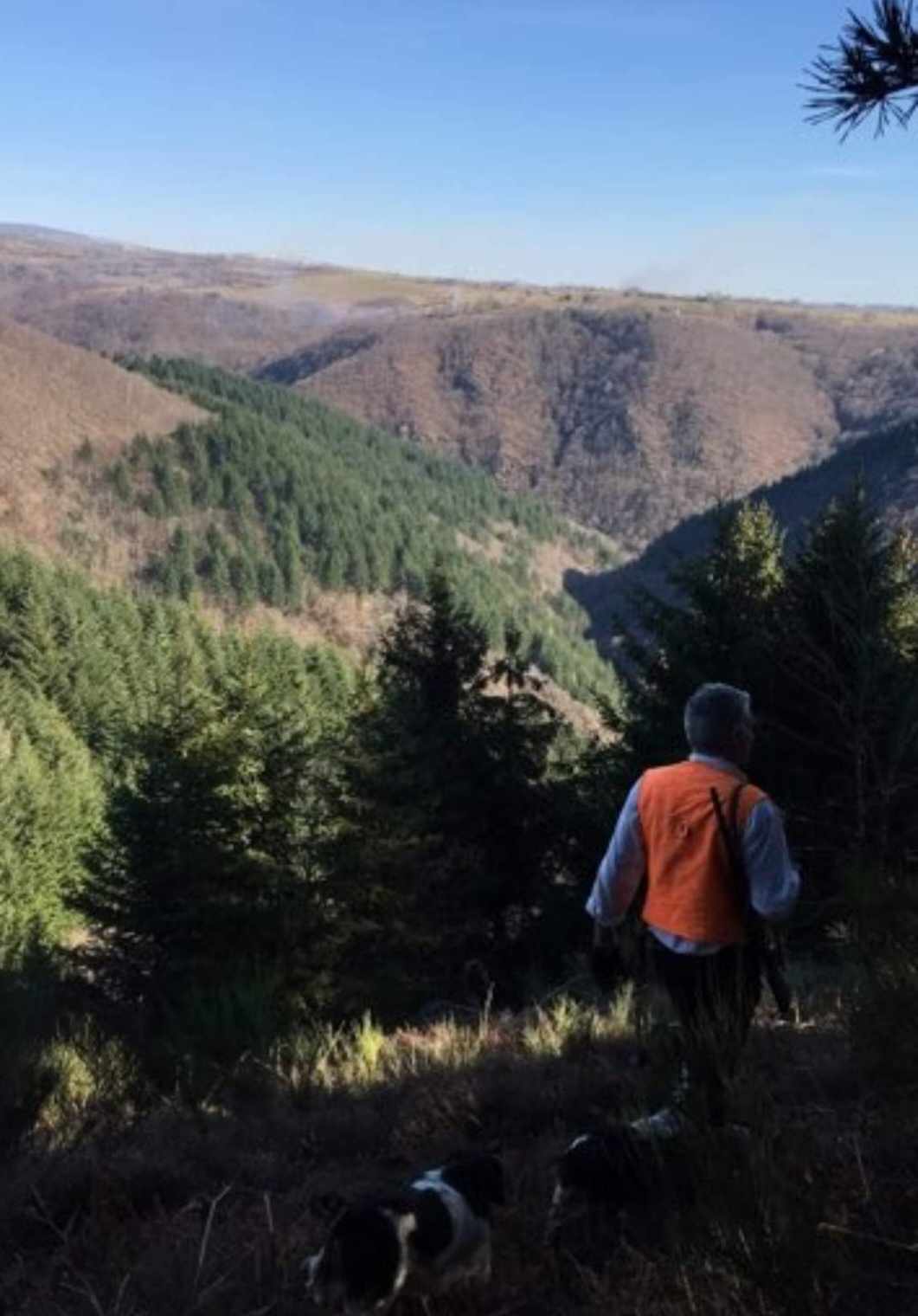 Journée de chasse au grand gibier au coeur de l'Aubrac