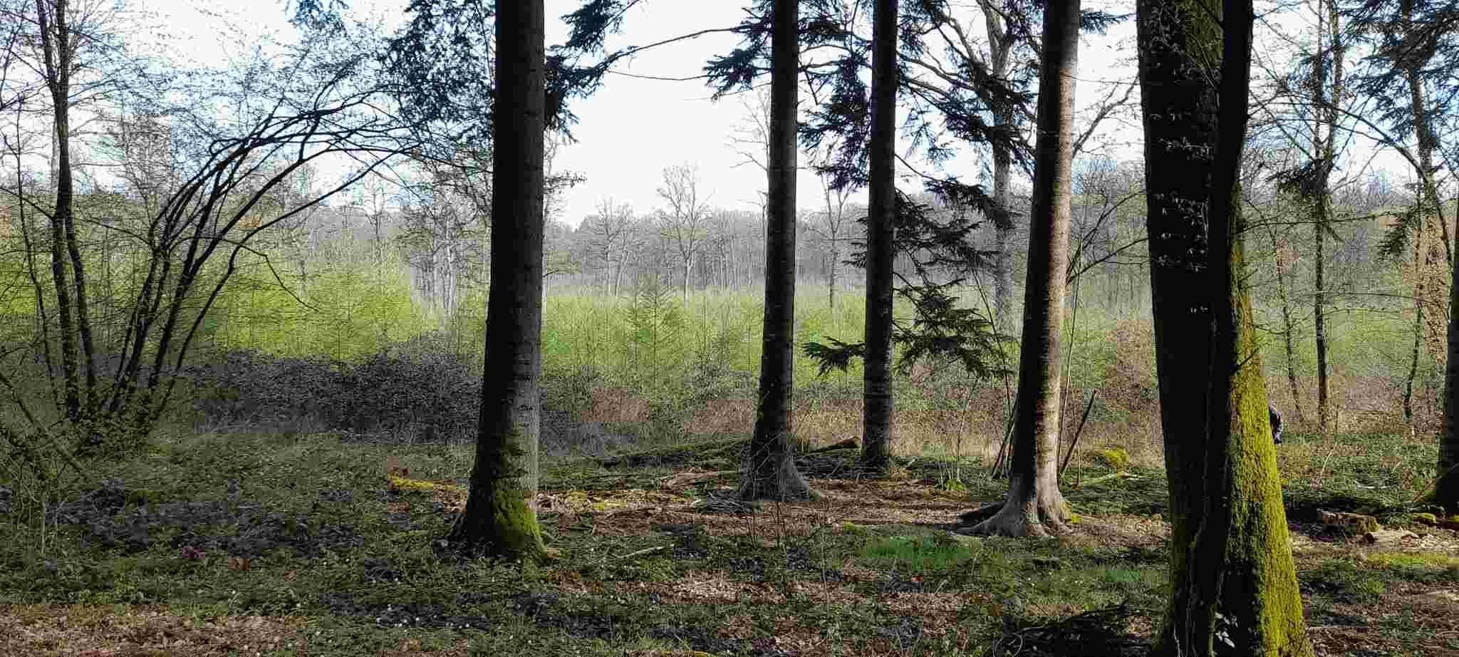 Chasse du dimanche au grand gibier dans le Jura