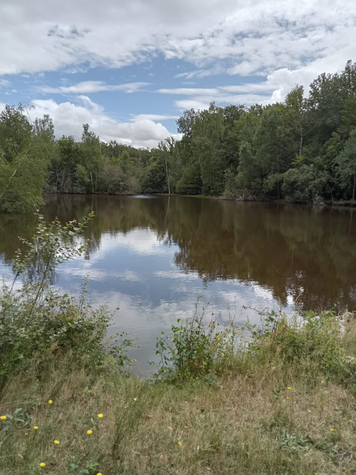 Action de chasse au grand gibier dans l'Yonne