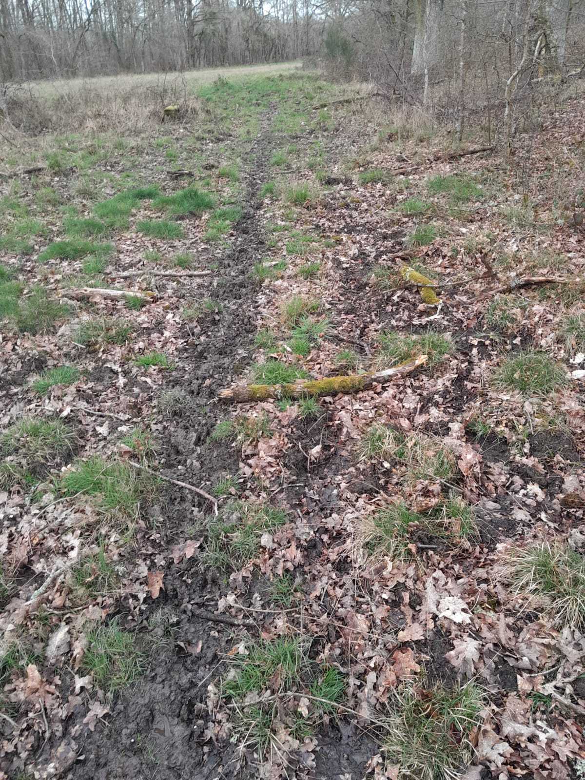 Soirée d'affût au sanglier au coeur de la Sologne