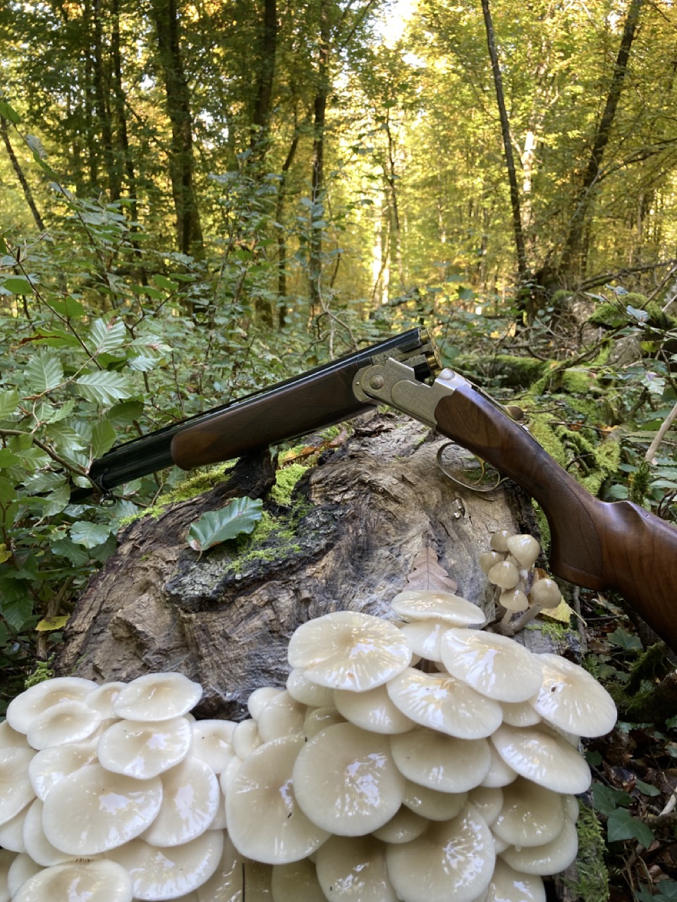 Action de chasse Vallée du Rupt de Mad