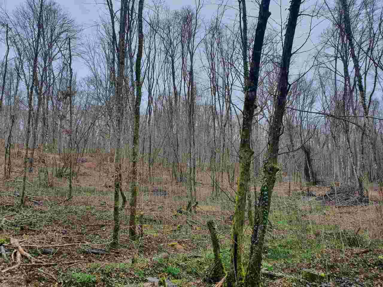 Action de chasse au grand gibier dans la Nièvre