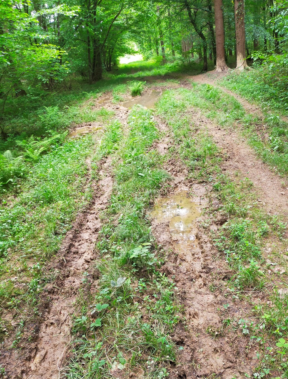 Action de chasse dans la Nièvre