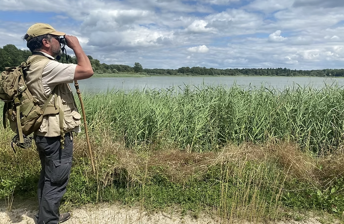 Plongée au cœur de la forêt d’Argonne