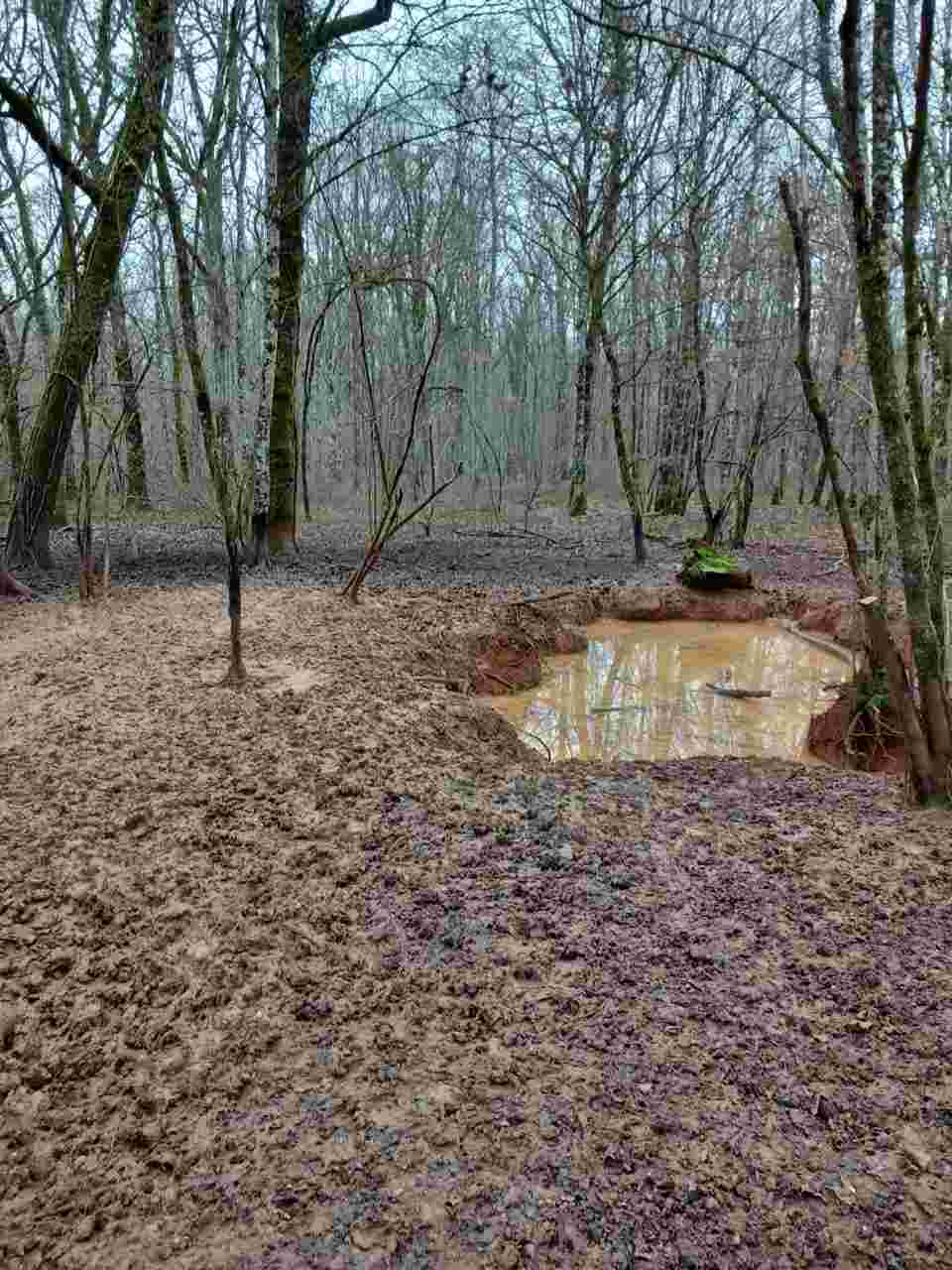 Dimanche de battue au grand gibier dans l'Yonne