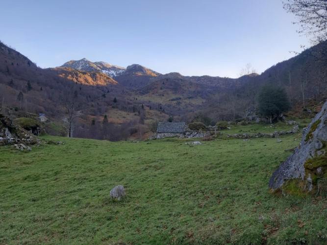 bracelet de cerf guidé dans l'Ariege