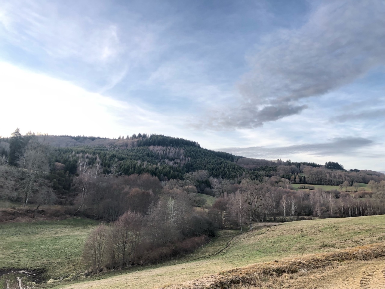 Bracelet de chevreuil en Creuse 23