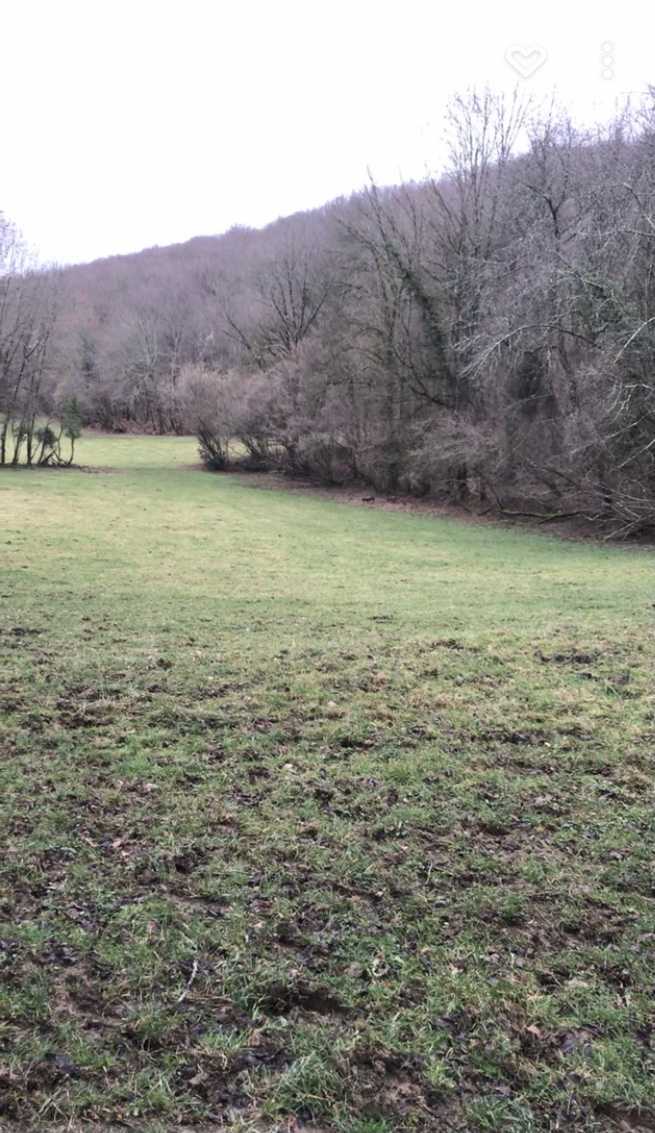 Chasse du dimanche en Ariège