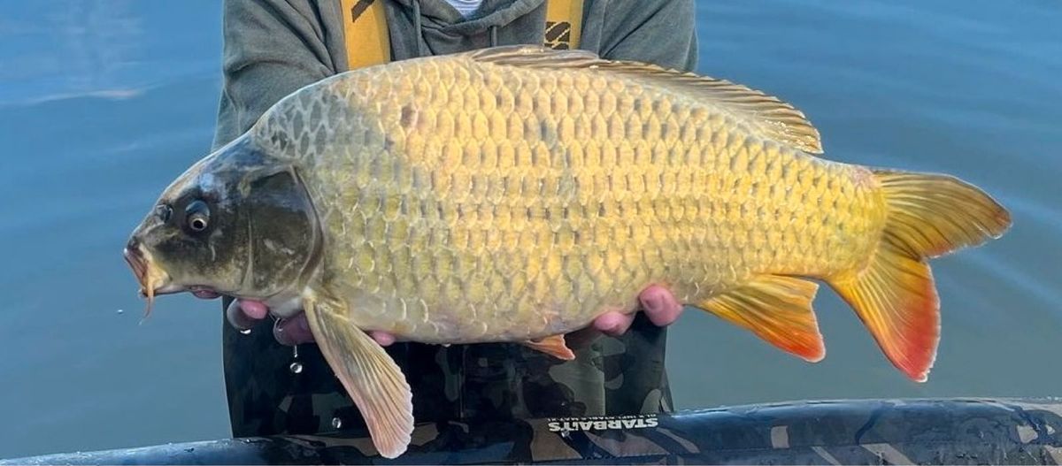 Pêche a la Carpe 1 semaine en Côte-d'Or