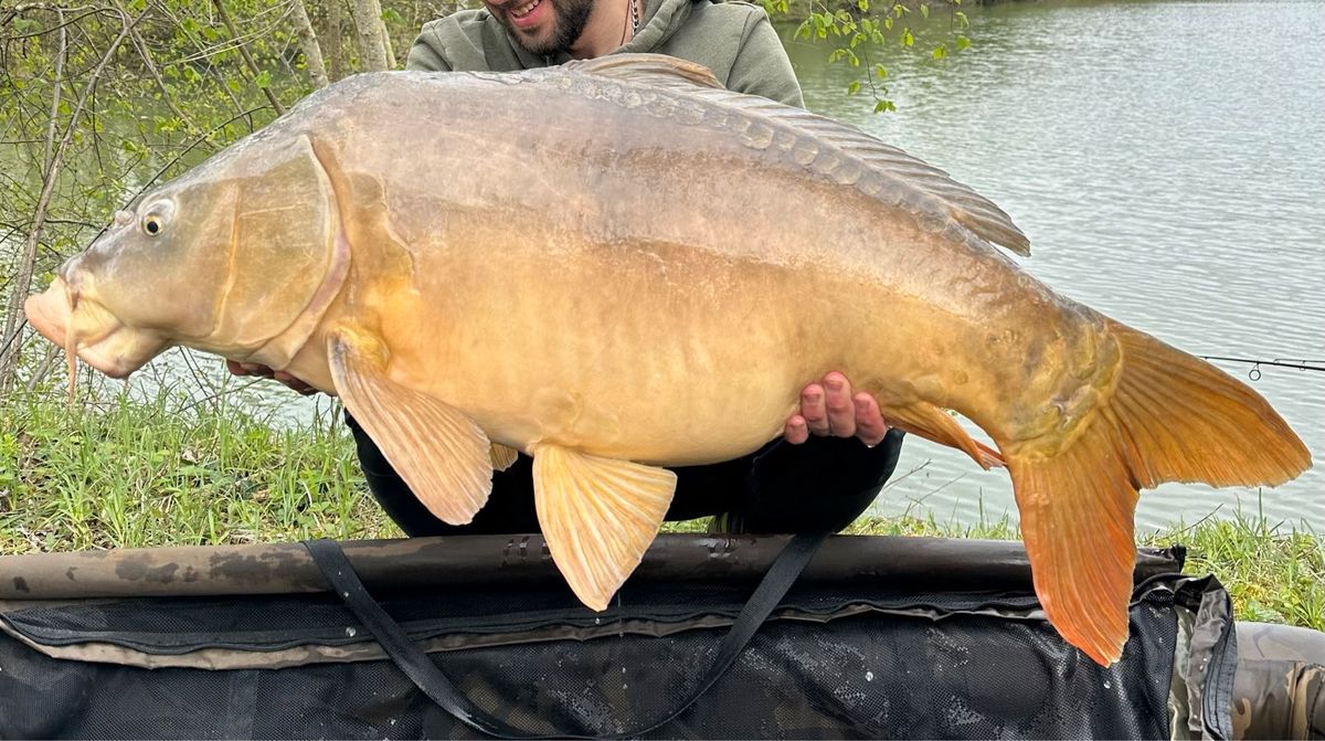 Pêche a la Carpe 48H en Côte-d'Or