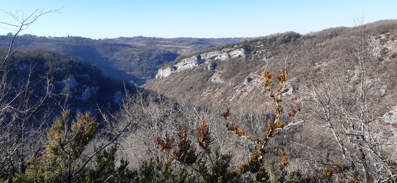 Chasse à l'approche du brocard