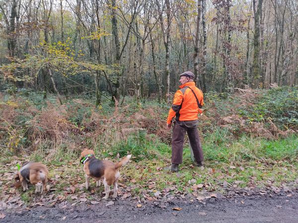 Action Gros Gibier dans l'Aisne pour Traqueur