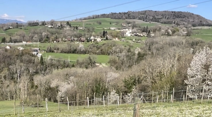 Chasse à la journée Grand gibier