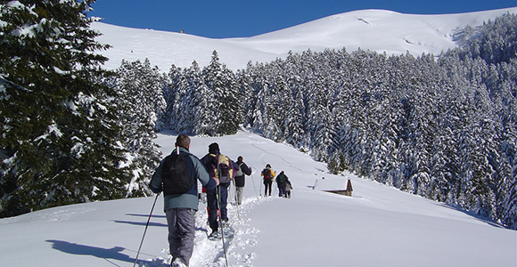 Partez à la découverte des Pyrénées en Raquettes  !