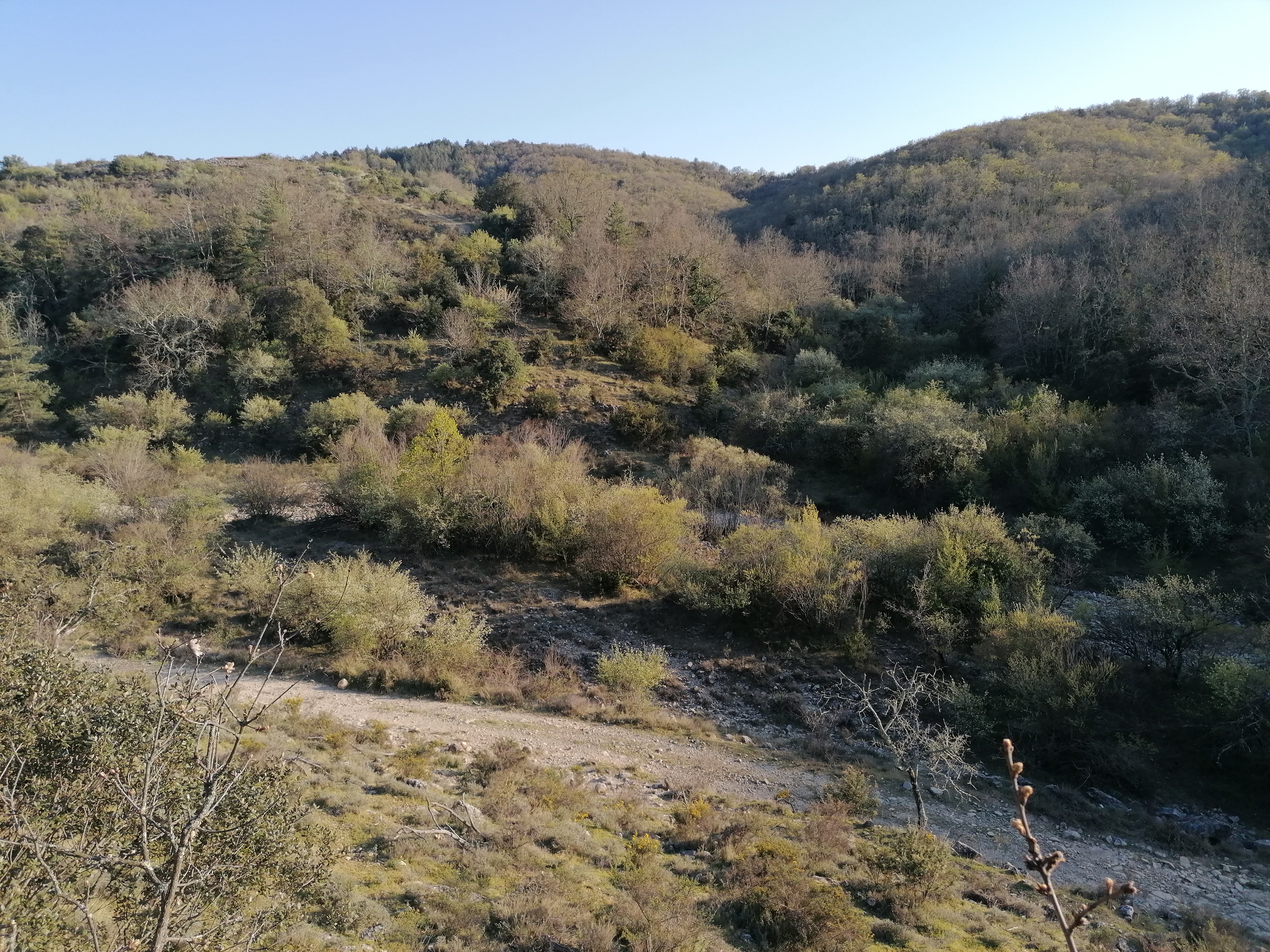 Journée de chasse au grand gibier en Ardèche