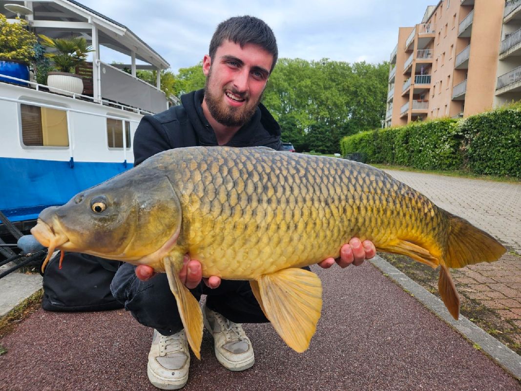 Guidage de pêche a la Carpe dans le TARN