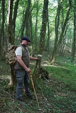 La forêt comment ça marche?