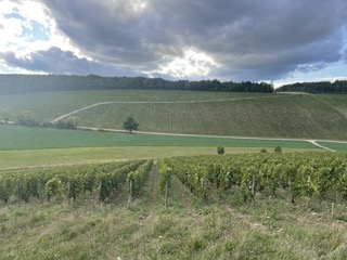 Journée de chasse au grand gibier à l'arc