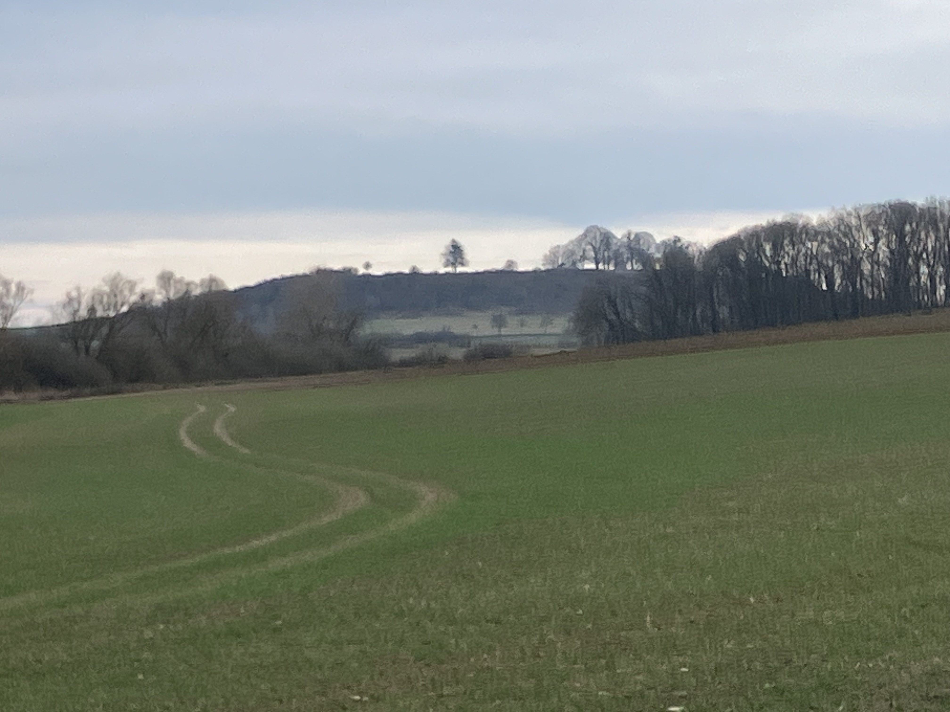 Chasse maxte petit gibier et grand gibier