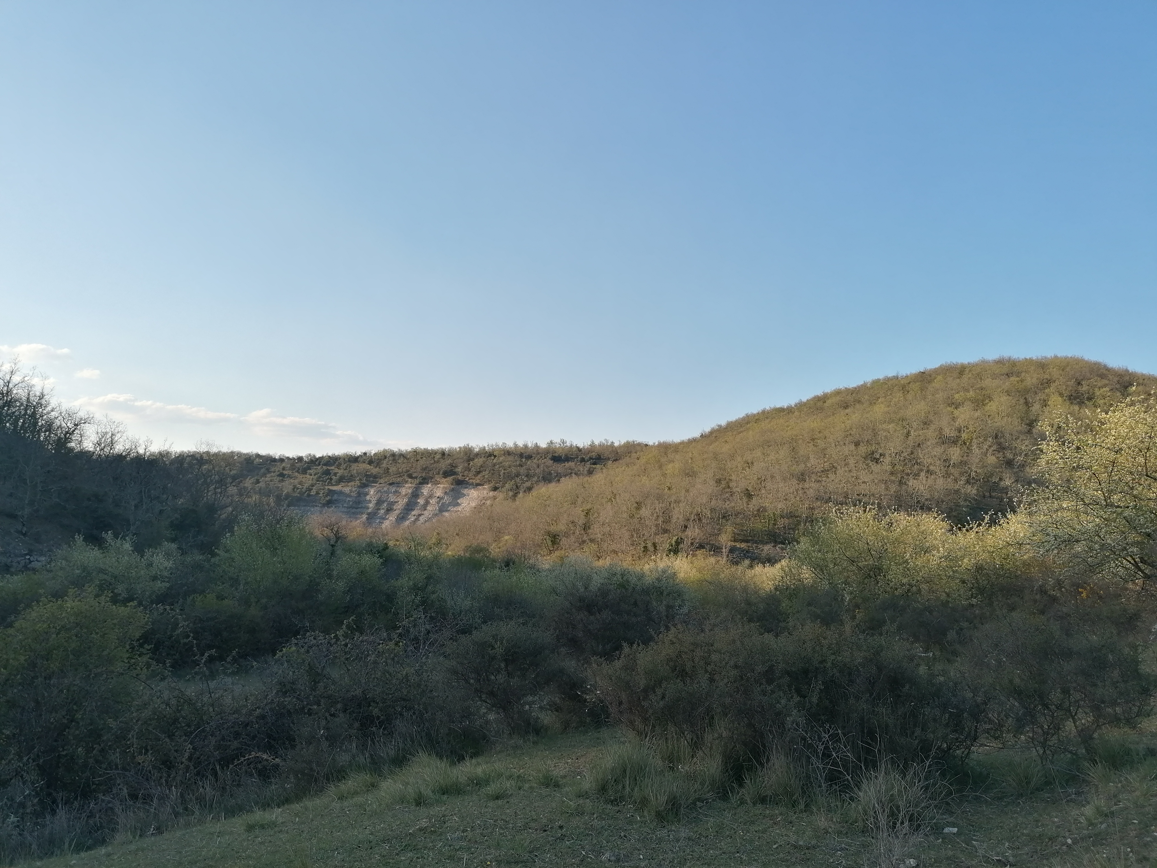 Action de chasse au grand gibier en Ardèche