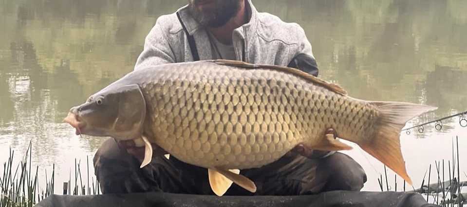 Action étang de pêche a la Carpe dans l'Isère