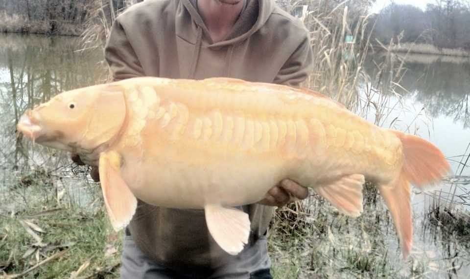 1 semaine de pêche a la Carpe dans l'Isère