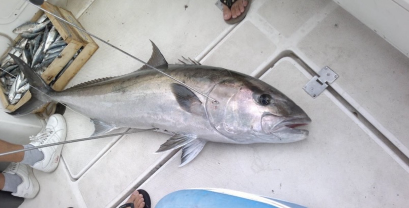 2 jours tout compris de pêche en MER Costa de Azhar Espagne