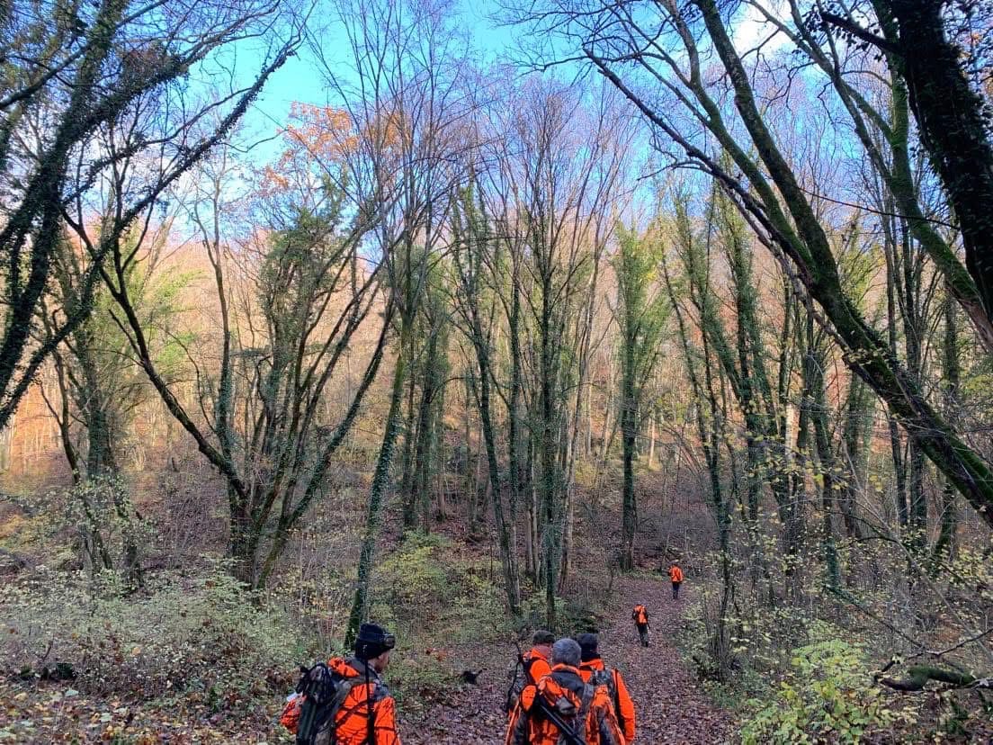 Action de chasse au grand gibier en Meurthe-et-Moselle