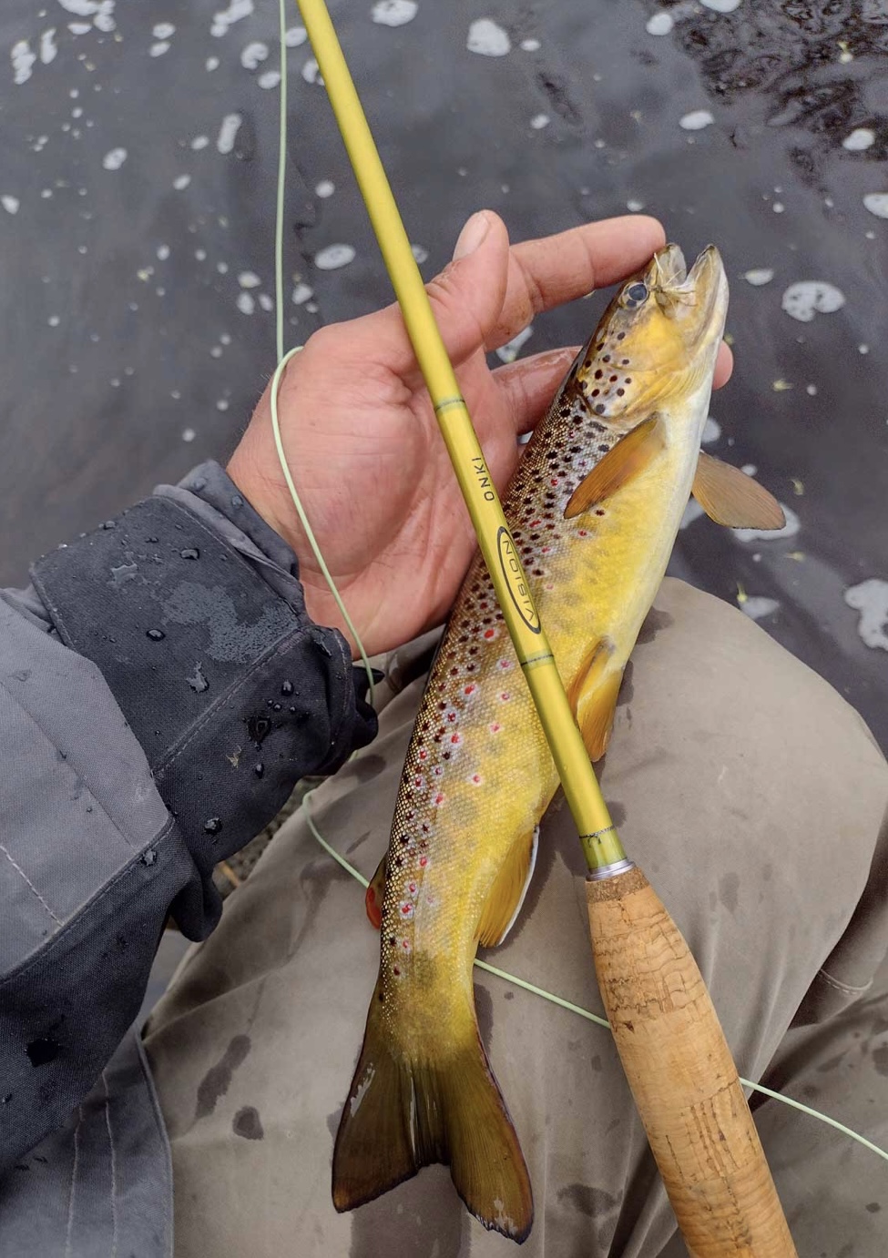 Pêche a la Truite avec un Guide