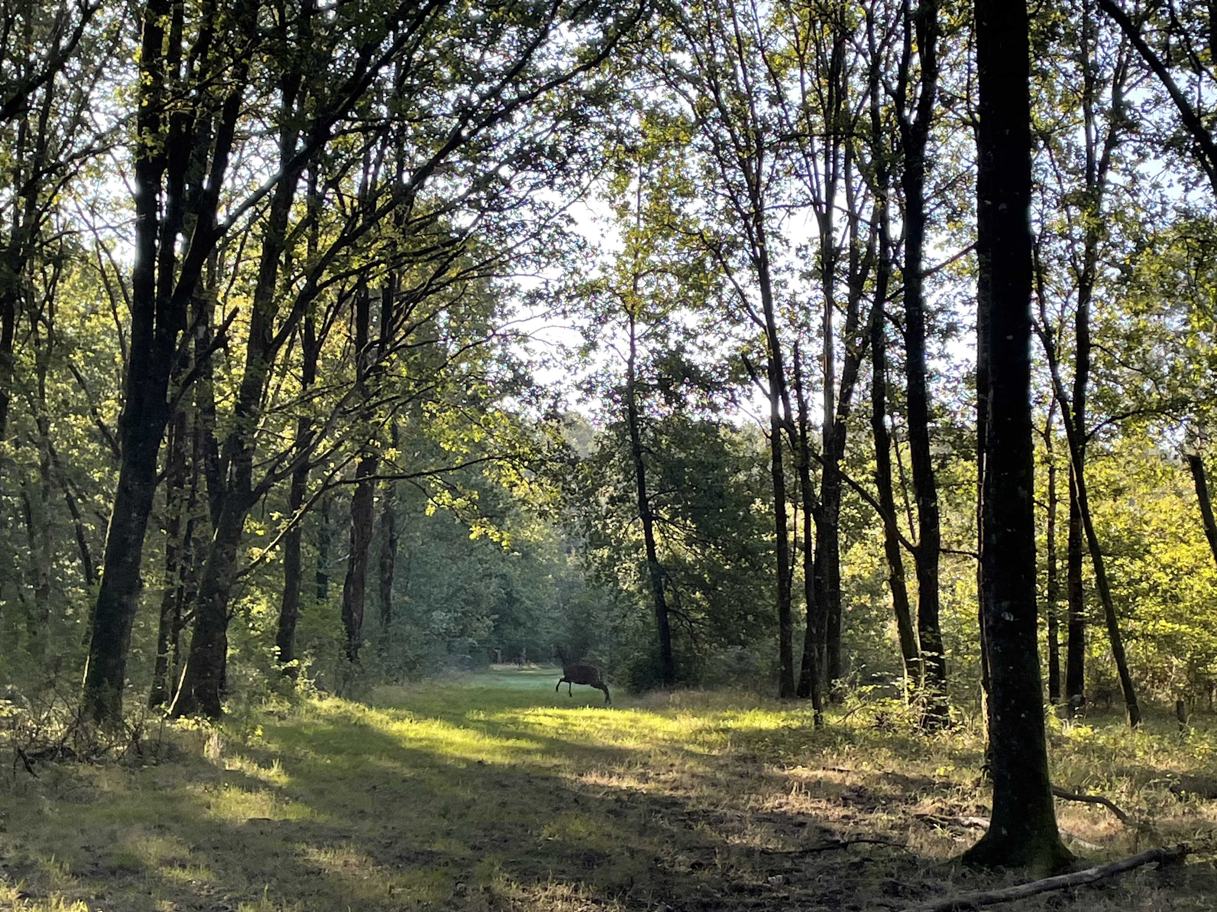 Journée découverte pour Action saison 25/26 à Ligny le Ribault