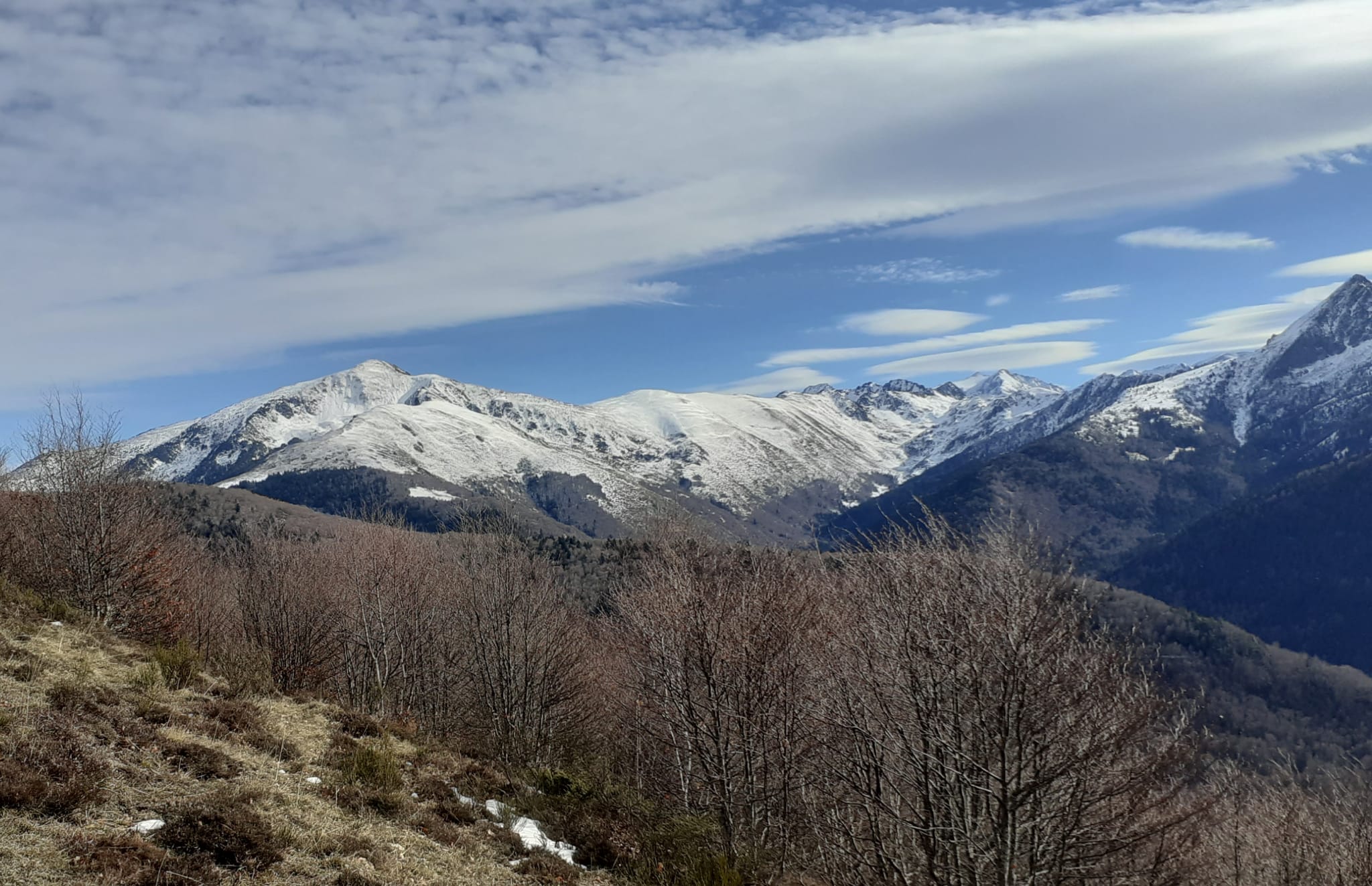 Journée de chasse grand gibier en montagne, Ariège