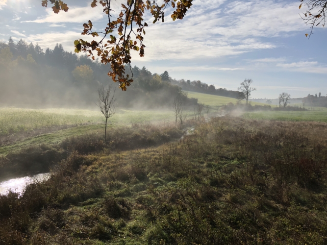 Dimanche de battue au grand gibier en Meuse