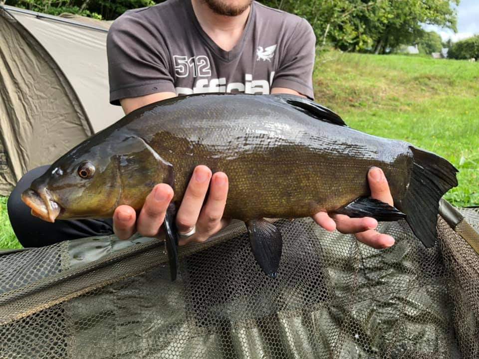 Journée de pêche au Feeder