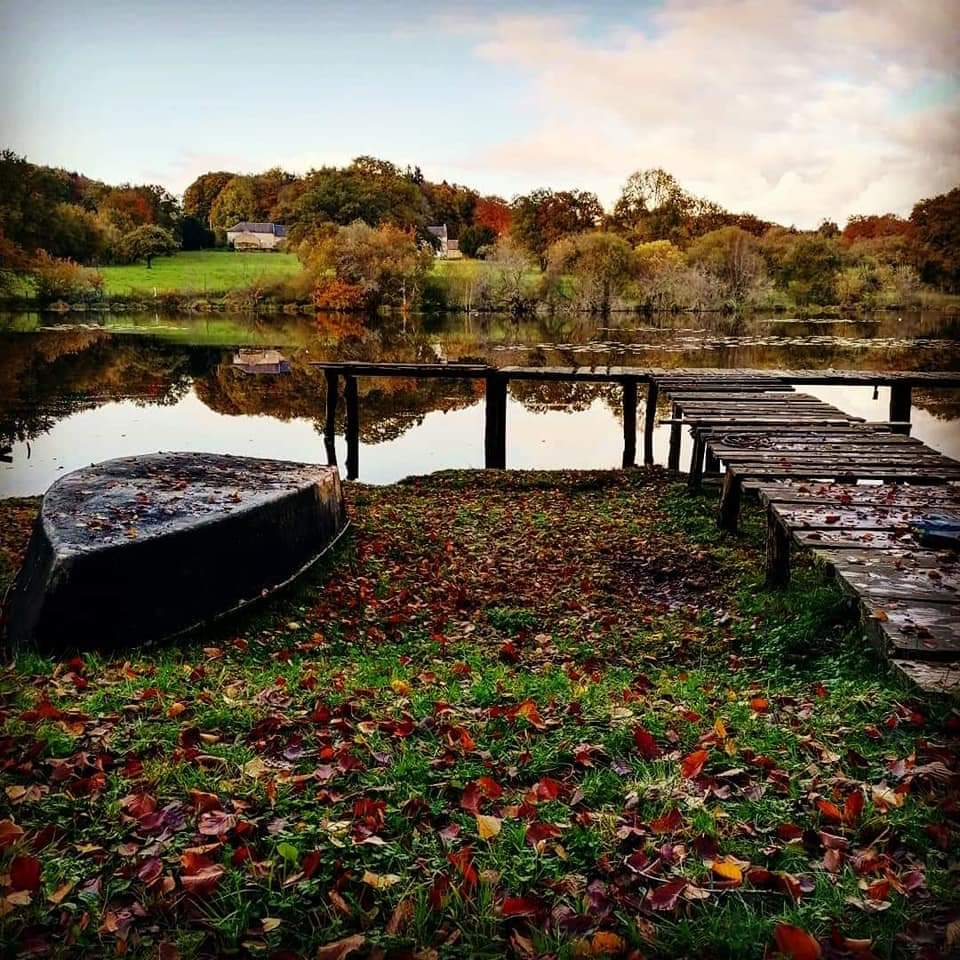 Journée de pêche de la Carpe