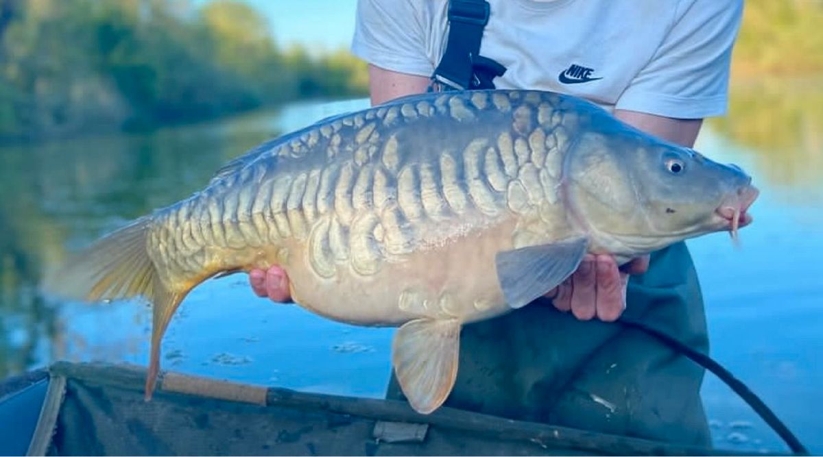 Pêche a la Carpe 24H en Côte-d'Or