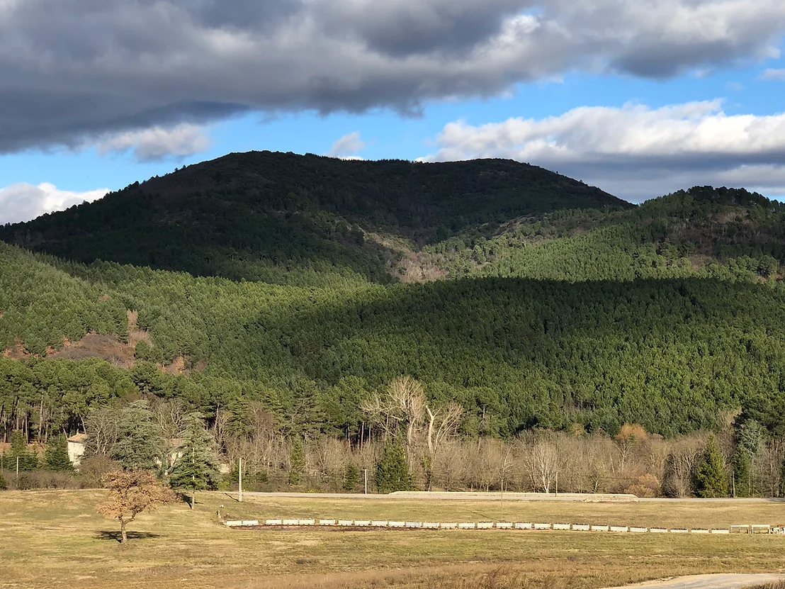 JOURNEE SANGLIERS AU POSTE EN CEVENNES GARDOISES CHASSE TRADITIONNELLE AUX CHIENS COURANTS