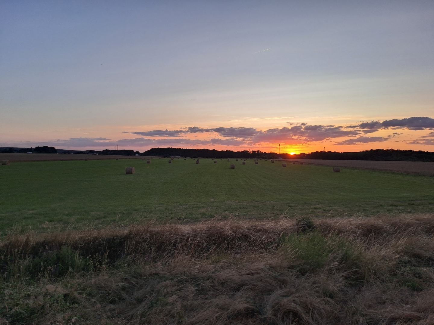 Journée de chasse au petit gibier