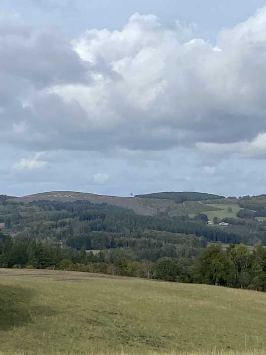 Action de battue grand gibier Corrèze (limite Haute-Vienne)