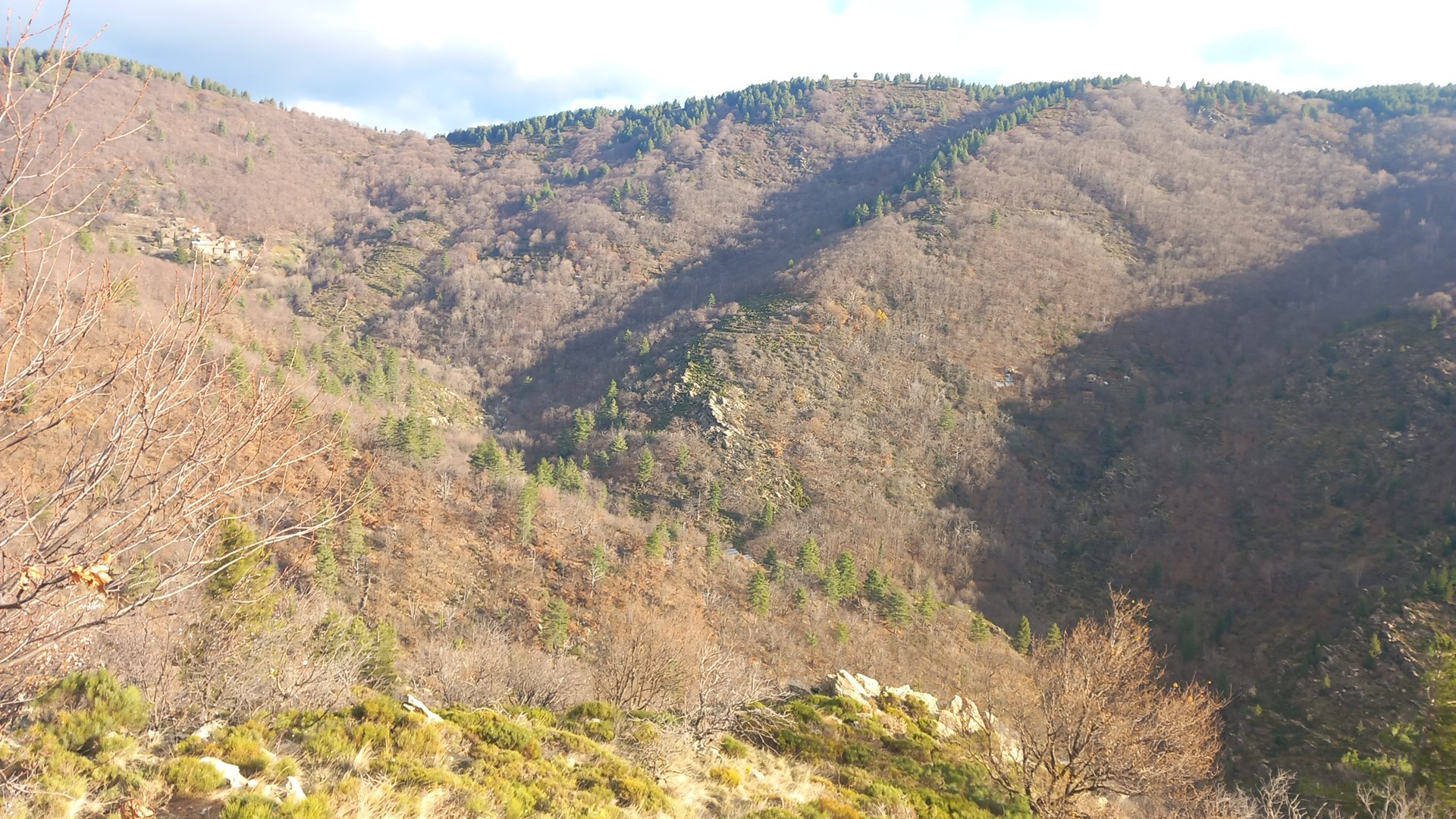 Journée aux sangliers au col de Peras sans les cévènnes gardoise