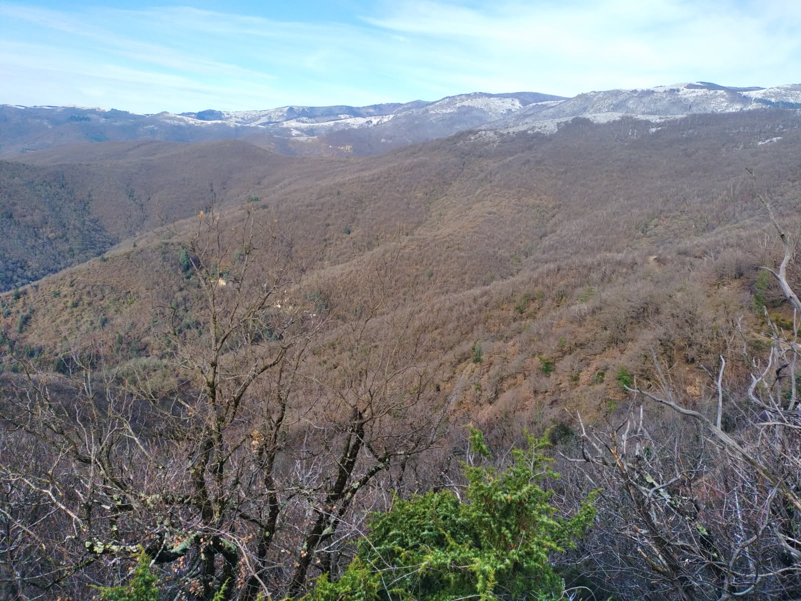 Action de chasse aux portes des Cévennes