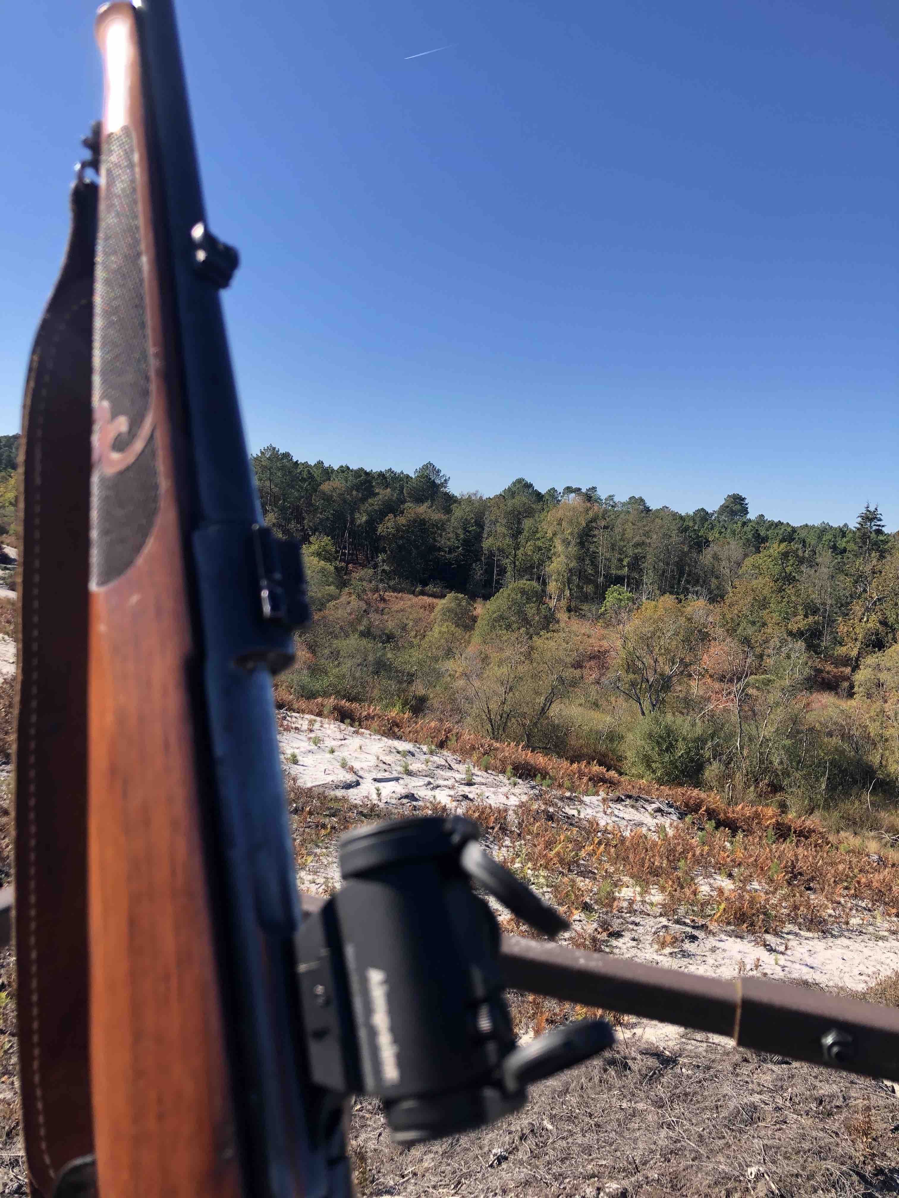 Action de chasse dans les Landes