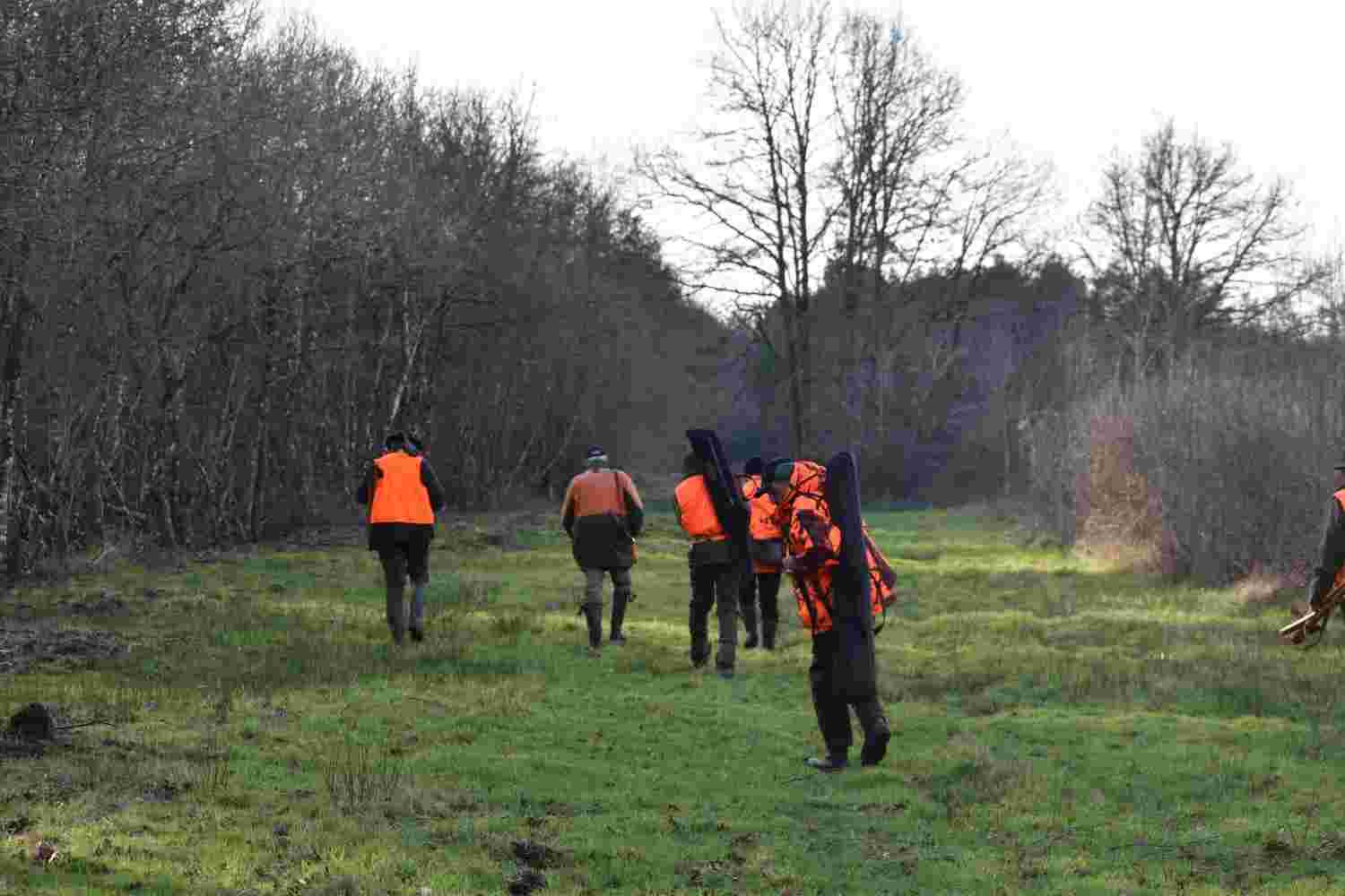 Journée de chasse au grand gibier au coeur de la Sologne - Woodland