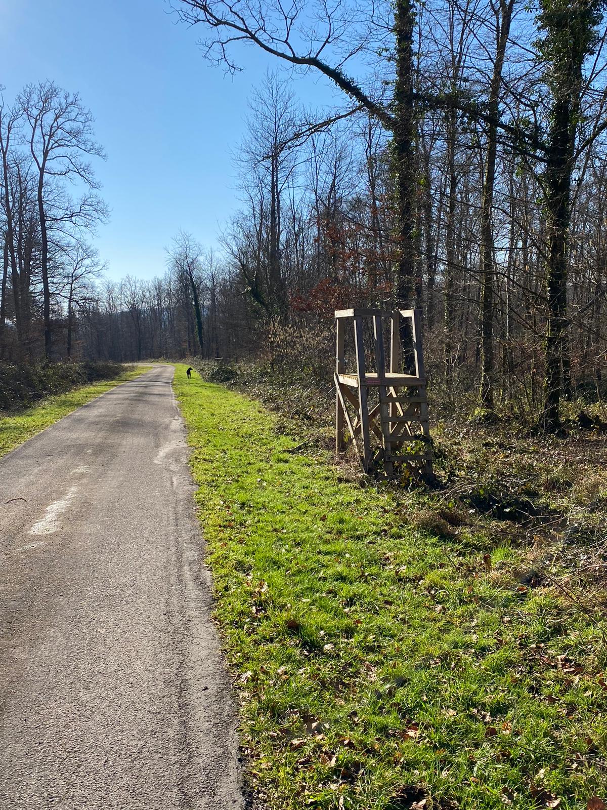 Séjour de 3 jours en Haute-Marne, Grand gibier