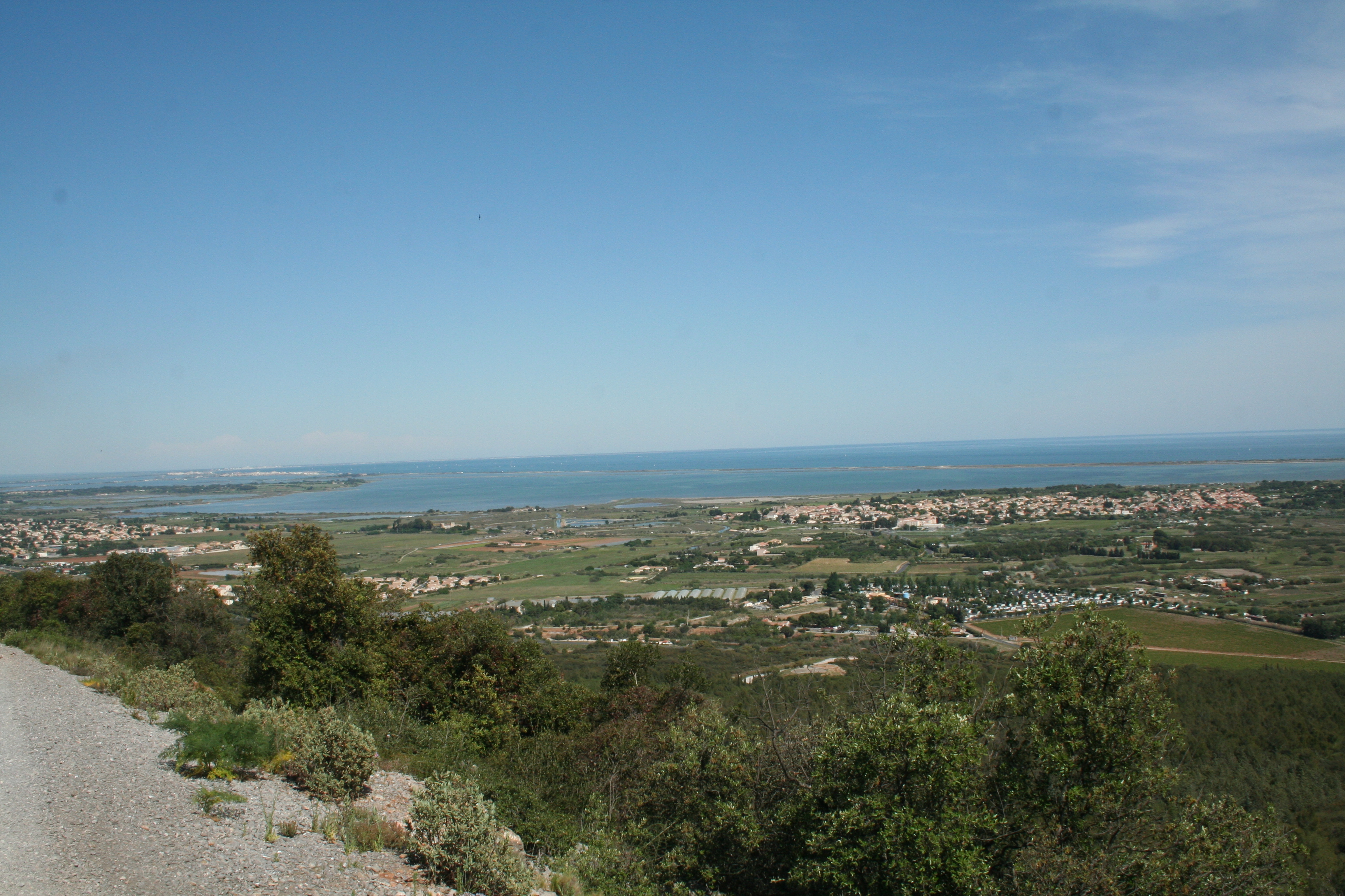 Journée de battue aux sangliers et chevreuils