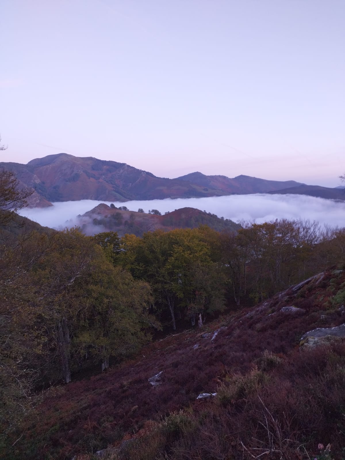 JOURNEE DE CHASSE COL AU PAYS BASQUE  ( PALOMBES , GRIVES )